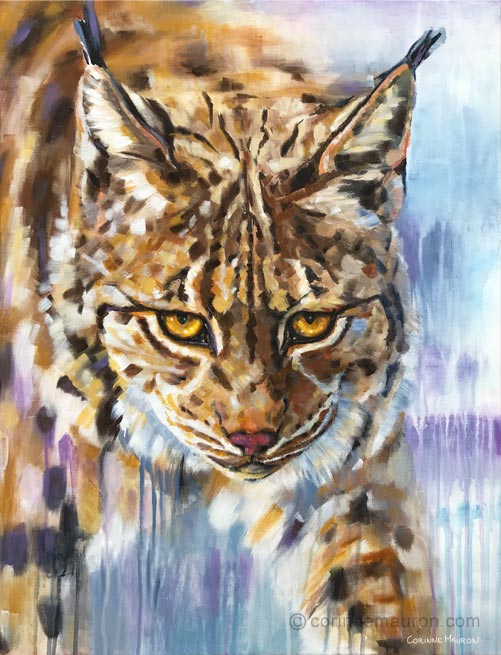 Lynx, hiver